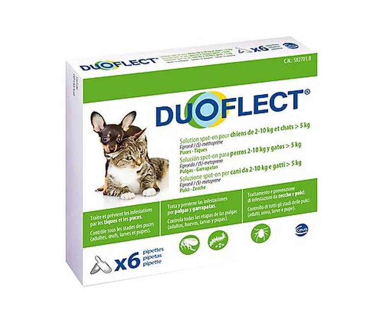 Duoflect - Pipettes Antiparasitaire De 2 à 10Kg Pour Chien Et Chat - X6 3 Duoflect - Pipettes Antiparasitaire De 2 à 10Kg Pour Chien Et Chat - X6