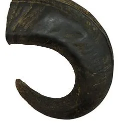 Bubimex - Corne De Buffle Pour Chiens - L