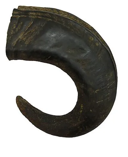 Bubimex - Corne De Buffle Pour Chiens - L 3 Bubimex - Corne De Buffle Pour Chiens - L