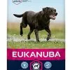 Eukanuba - Croquettes Mature 6+ Au Poulet Pour Chien Sénior De Grande Taille - 15Kg 1 Eukanuba - Croquettes Mature 6+ Au Poulet Pour Chien Sénior De Grande Taille - 15Kg -Nourriture pour chien Soldes 26167