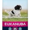 Eukanuba - Croquettes Au Poulet Pour Chien Adulte De Taille Moyenne - 15Kg 2 Eukanuba - Croquettes Au Poulet Pour Chien Adulte De Taille Moyenne - 15Kg -Nourriture pour chien Soldes 26171