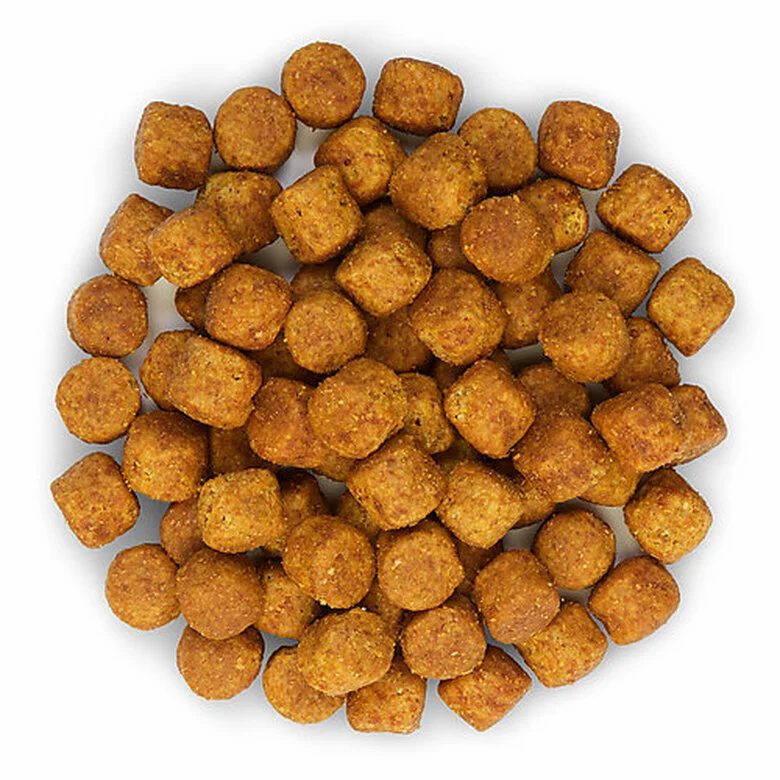 Hill's Science Plan - Croquettes Healthy Mobility Medium Adult Poulet Pour Chien - 12Kg 5 Hill's Science Plan - Croquettes Healthy Mobility Medium Adult Poulet Pour Chien - 12Kg – Image 3