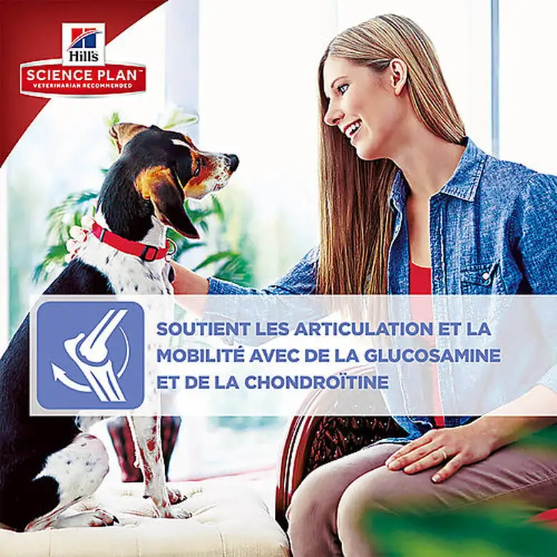 Hill's Science Plan - Croquettes Active Longevity Medium Mature 7+ Poulet Pour Chien - 12Kg 7 Hill's Science Plan - Croquettes Active Longevity Medium Mature 7+ Poulet Pour Chien - 12Kg – Image 5