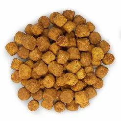 Hill's Science Plan - Croquettes Active Longevity Medium Mature 7+ Poulet Pour Chien - 12Kg 11 Hill's Science Plan - Croquettes Active Longevity Medium Mature 7+ Poulet Pour Chien - 12Kg -Nourriture pour chien Soldes 27949