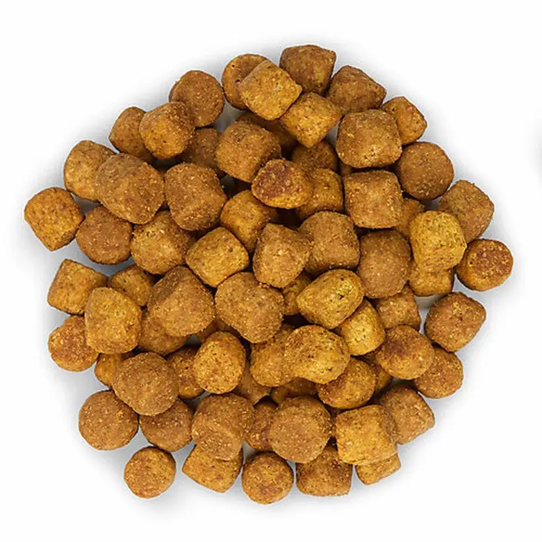 Hill's Science Plan - Croquettes Active Longevity Medium Mature 7+ Poulet Pour Chien - 12Kg 6 Hill's Science Plan - Croquettes Active Longevity Medium Mature 7+ Poulet Pour Chien - 12Kg – Image 4