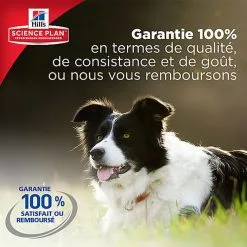 Hill's Science Plan - Croquettes Active Longevity Medium Mature 7+ Poulet Pour Chien - 12Kg 13 Hill's Science Plan - Croquettes Active Longevity Medium Mature 7+ Poulet Pour Chien - 12Kg -Nourriture pour chien Soldes 27951
