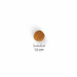 Hill's Science Plan - Croquettes Advanced Fitness Large Adult Poulet Pour Chien - 18Kg 8 Hill's Science Plan - Croquettes Advanced Fitness Large Adult Poulet Pour Chien - 18Kg -Nourriture pour chien Soldes 28001