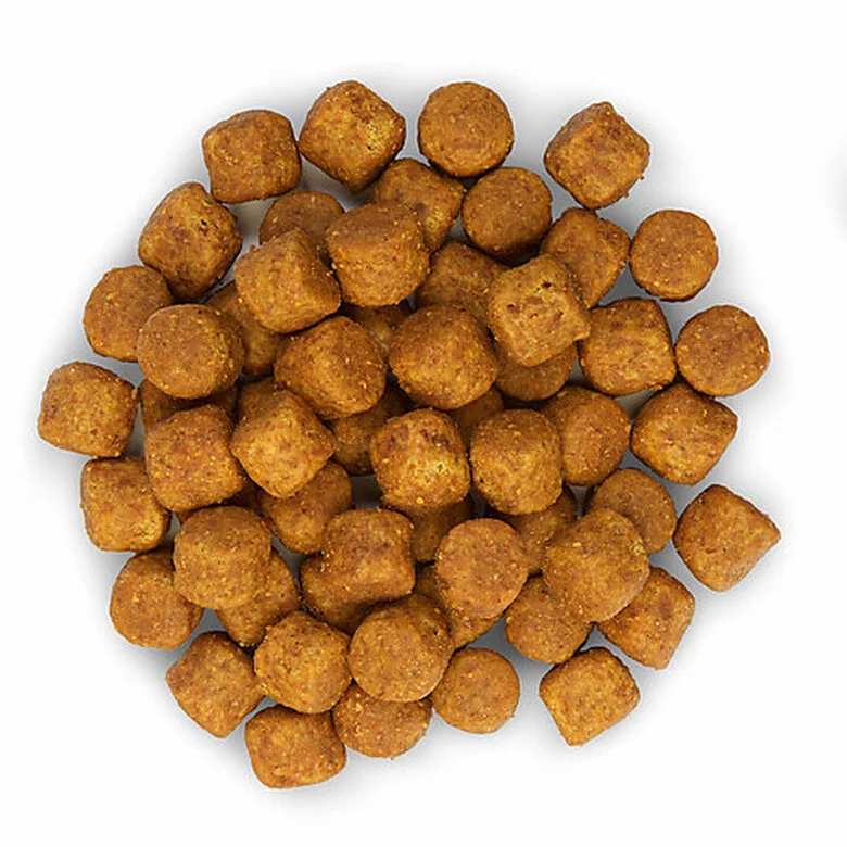 Hill's Science Plan - Croquettes Advanced Fitness Large Adult Poulet Pour Chien - 18Kg 5 Hill's Science Plan - Croquettes Advanced Fitness Large Adult Poulet Pour Chien - 18Kg – Image 3