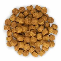 Hill's Science Plan - Croquettes Large Breed Au Poulet Pour Chiot - 16Kg 14 Hill's Science Plan - Croquettes Large Breed Au Poulet Pour Chiot - 16Kg -Nourriture pour chien Soldes 28023