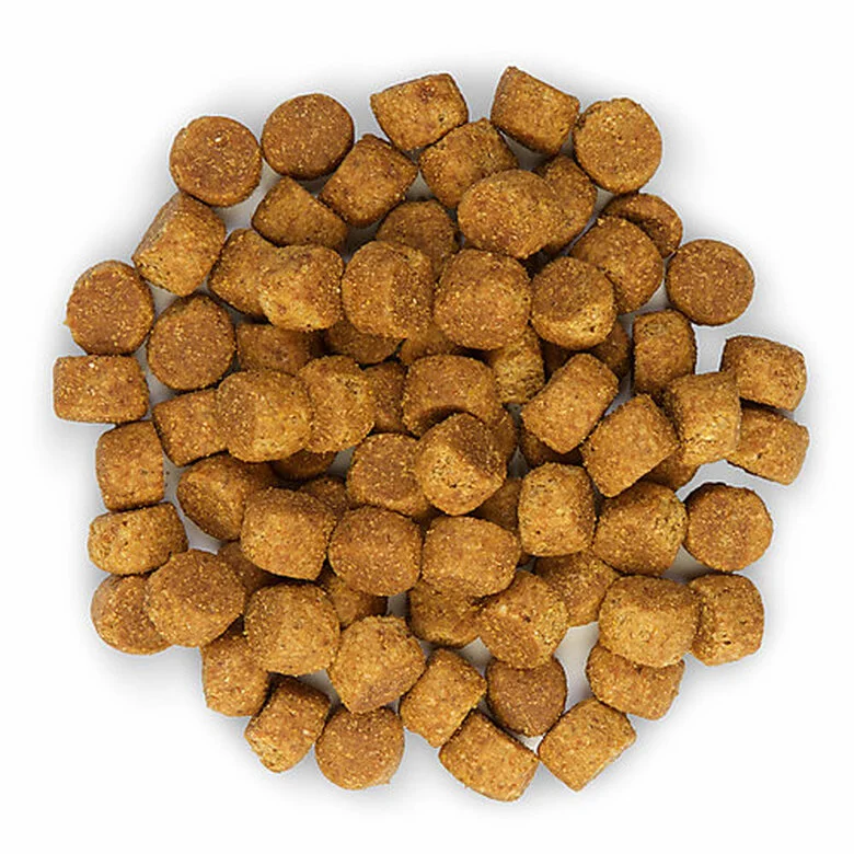 Hill's Science Plan - Croquettes Large Breed Au Poulet Pour Chiot - 16Kg 5 Hill's Science Plan - Croquettes Large Breed Au Poulet Pour Chiot - 16Kg – Image 3