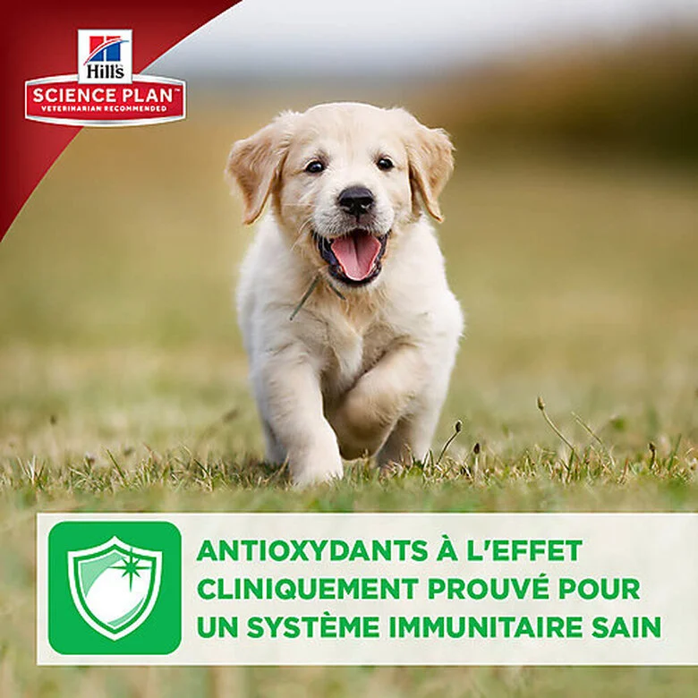 Hill's Science Plan - Croquettes Large Breed Au Poulet Pour Chiot - 16Kg 9 Hill's Science Plan - Croquettes Large Breed Au Poulet Pour Chiot - 16Kg – Image 7