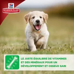 Hill's Science Plan - Croquettes Large Breed Au Poulet Pour Chiot - 16Kg 20 Hill's Science Plan - Croquettes Large Breed Au Poulet Pour Chiot - 16Kg -Nourriture pour chien Soldes 28031