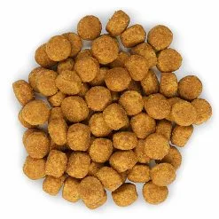 Hill's Science Plan - Croquettes Advanced Fitness Medium Adult Poulet Pour Chien 13 Hill's Science Plan - Croquettes Advanced Fitness Medium Adult Poulet Pour Chien -Nourriture pour chien Soldes 28060
