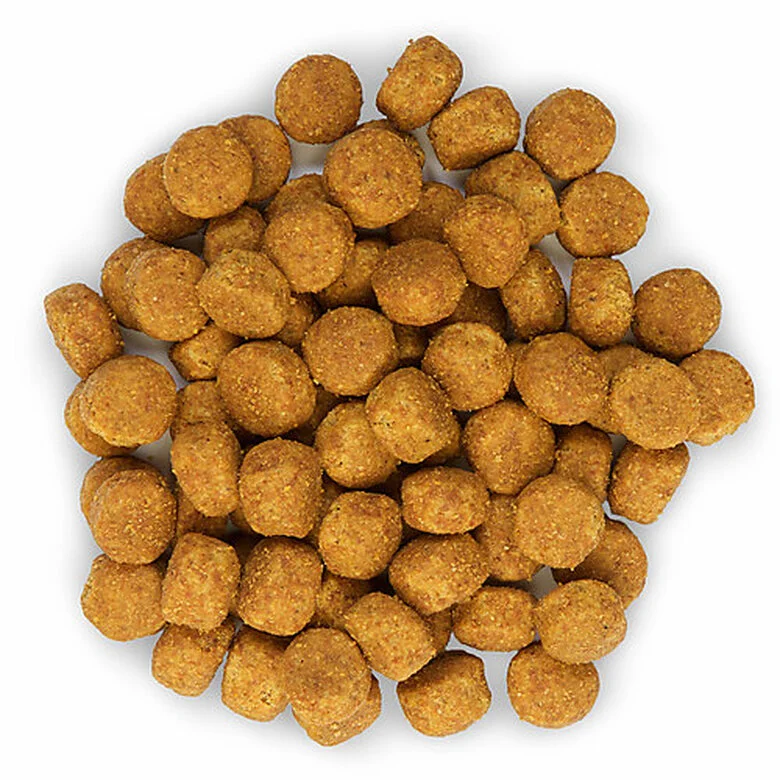 Hill's Science Plan - Croquettes Advanced Fitness Medium Adult Poulet Pour Chien 7 Hill's Science Plan - Croquettes Advanced Fitness Medium Adult Poulet Pour Chien – Image 5