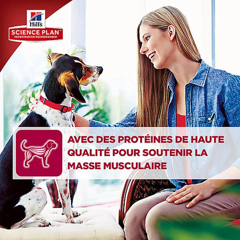 Hill's Science Plan - Croquettes Advanced Fitness Medium Adult Poulet Pour Chien 8 Hill's Science Plan - Croquettes Advanced Fitness Medium Adult Poulet Pour Chien – Image 6