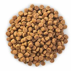 Hill's Science Plan - Croquettes Au Poulet Et Dinde Pour Chien Sénior De Petite Race 11 Hill's Science Plan - Croquettes Au Poulet Et Dinde Pour Chien Sénior De Petite Race -Nourriture pour chien Soldes 28573