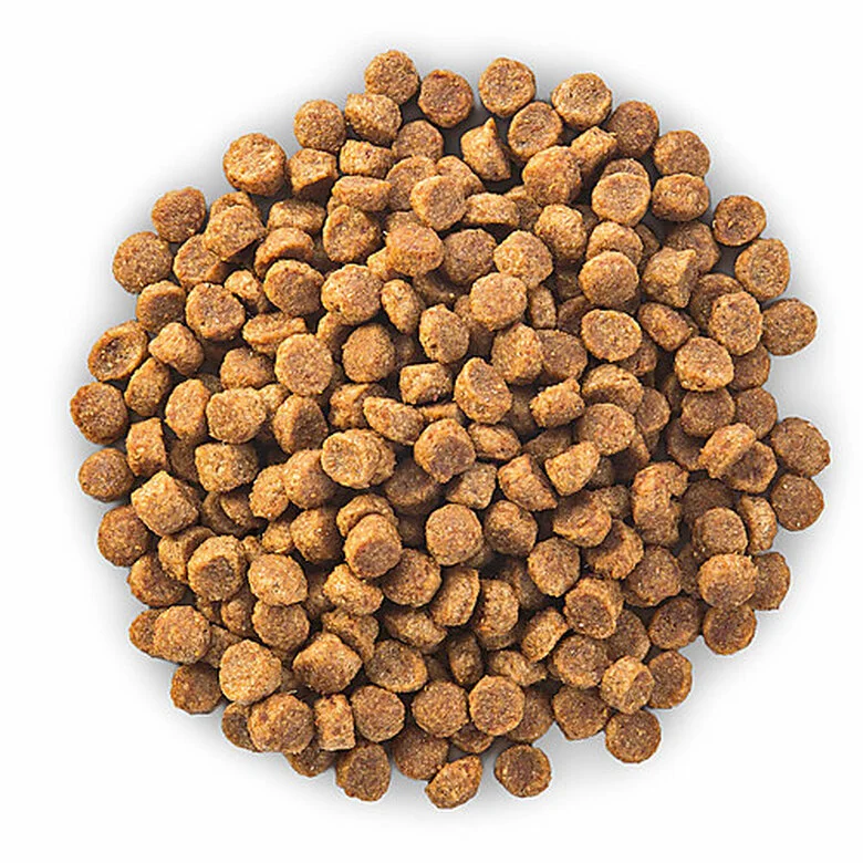 Hill's Science Plan - Croquettes Au Poulet Et Dinde Pour Chien Sénior De Petite Race 6 Hill's Science Plan - Croquettes Au Poulet Et Dinde Pour Chien Sénior De Petite Race – Image 4