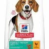 Hill's Science Plan Hill's - Canine Adult Perfect Weight Medium Poulet Pour Chien - 12Kg 2 Hill's Science Plan Hill's - Canine Adult Perfect Weight Medium Poulet Pour Chien - 12Kg -Nourriture pour chien Soldes 40470