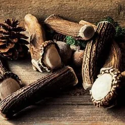 Animalis - Friandise Bois De Cerf Entier Pour Chien 9 Animalis - Friandise Bois De Cerf Entier Pour Chien -Nourriture pour chien Soldes 41020