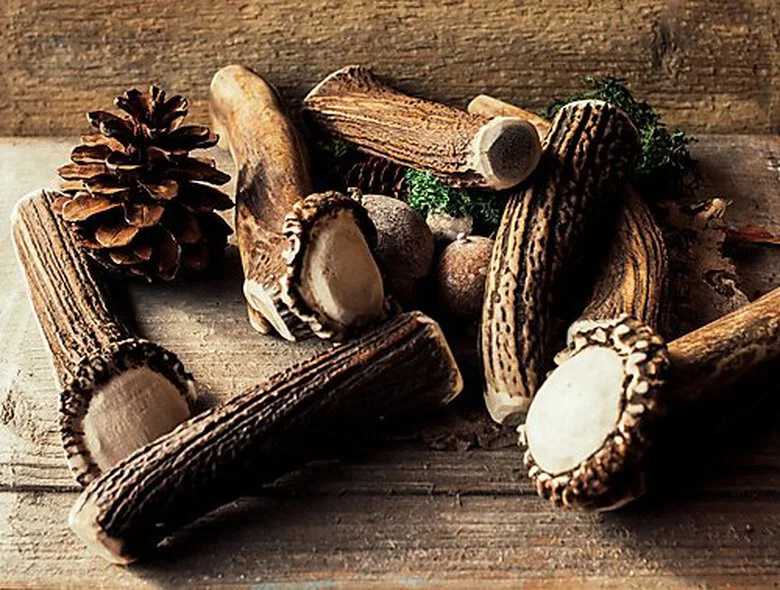 Animalis - Friandise Bois De Cerf Entier Pour Chien 6 Animalis - Friandise Bois De Cerf Entier Pour Chien – Image 4