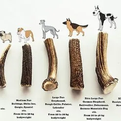 Animalis - Friandise Bois De Cerf Entier Pour Chien 8 Animalis - Friandise Bois De Cerf Entier Pour Chien -Nourriture pour chien Soldes 41022