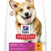Hill's Science Plan - Croquettes Au Poulet Et Dinde Pour Chien De Petite Race 1 Hill's Science Plan - Croquettes Au Poulet Et Dinde Pour Chien De Petite Race -Nourriture pour chien Soldes 41166