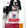 Hill's Science Plan - Croquettes Advanced Fitness Medium Adult Poulet Pour Chien 1 Hill's Science Plan - Croquettes Advanced Fitness Medium Adult Poulet Pour Chien -Nourriture pour chien Soldes 41171