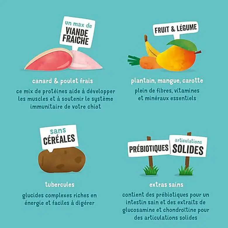 Edgard & Cooper - Croquettes Au Canard Et Poulet Pour Chiot - 7Kg 7 Edgard & Cooper - Croquettes Au Canard Et Poulet Pour Chiot - 7Kg – Image 5