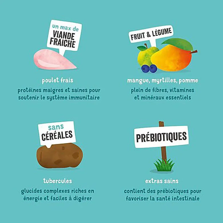 Edgard & Cooper - Croquettes Au Poulet Pour Chien - 7Kg 7 Edgard & Cooper - Croquettes Au Poulet Pour Chien - 7Kg – Image 5