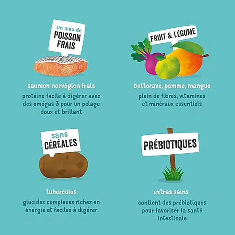 Edgard & Cooper - Croquettes Au Saumon Pour Chien - 12Kg 7 Edgard & Cooper - Croquettes Au Saumon Pour Chien - 12Kg – Image 5