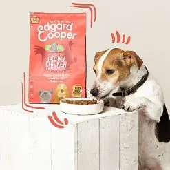 Edgard & Cooper - Croquettes Au Poulet Et Saumon Pour Chien - 2,5Kg 12 Edgard & Cooper - Croquettes Au Poulet Et Saumon Pour Chien - 2,5Kg -Nourriture pour chien Soldes 46579