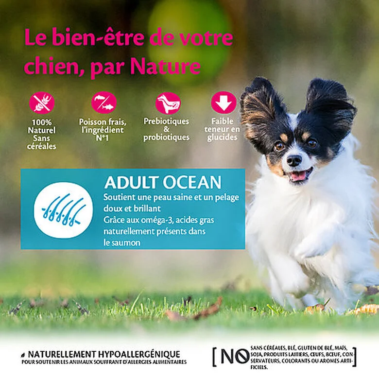 Wellness CORE - Croquettes Océan Au Saumon Pour Chien Petite Race - 1,5Kg 4 Wellness CORE - Croquettes Océan Au Saumon Pour Chien Petite Race - 1,5Kg – Image 2