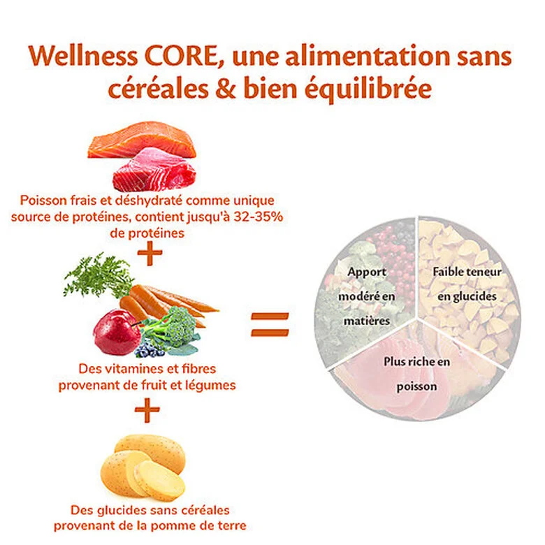Wellness CORE - Croquettes Océan Au Saumon Pour Chien Petite Race - 1,5Kg 6 Wellness CORE - Croquettes Océan Au Saumon Pour Chien Petite Race - 1,5Kg – Image 4