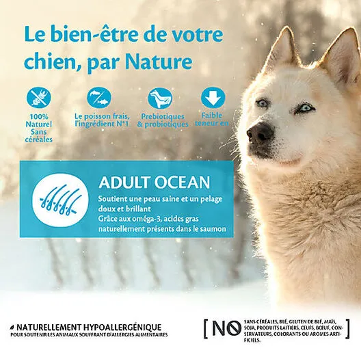 Wellness CORE - Croquettes Océan Saumon Et Thon Pour Chien - 10Kg 4 Wellness CORE - Croquettes Océan Saumon Et Thon Pour Chien - 10Kg – Image 2