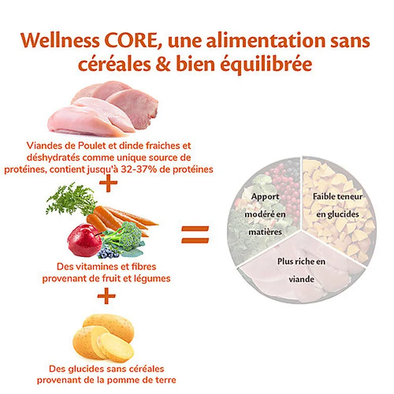 Wellness CORE - Croquettes Puppy Dinde Et Poulet Pour Chiot - 1,5Kg 6 Wellness CORE - Croquettes Puppy Dinde Et Poulet Pour Chiot - 1,5Kg – Image 4
