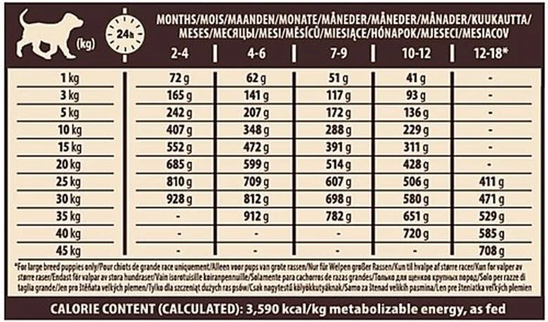 Wellness CORE - Croquettes Puppy Dinde Et Poulet Pour Chiot - 1,5Kg 8 Wellness CORE - Croquettes Puppy Dinde Et Poulet Pour Chiot - 1,5Kg – Image 6