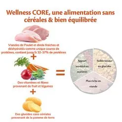 Wellness CORE - Croquettes Senior Dinde Et Poulet Pour Chien - 1,8Kg 10 Wellness CORE - Croquettes Senior Dinde Et Poulet Pour Chien - 1,8Kg -Nourriture pour chien Soldes 64071