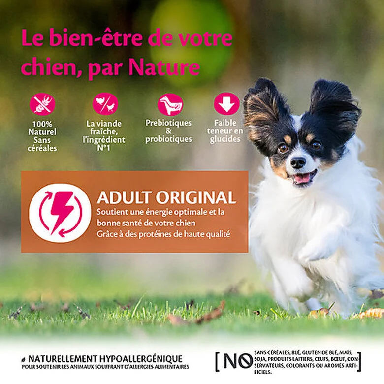 Wellness CORE - Croquettes Original Dinde Et Poulet Pour Chien Petite Race - 1,5Kg 4 Wellness CORE - Croquettes Original Dinde Et Poulet Pour Chien Petite Race - 1,5Kg – Image 2