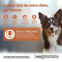 Nourriture pour chien Soldes -Nourriture pour chien Soldes 64092