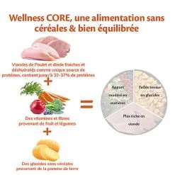 Wellness CORE - Croquettes Original Dinde Et Poulet Pour Chien - 10Kg 10 Wellness CORE - Croquettes Original Dinde Et Poulet Pour Chien - 10Kg -Nourriture pour chien Soldes 64096