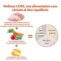Wellness CORE - Croquettes Light à La Dinde Pour Chien - 10Kg 10 Wellness CORE - Croquettes Light à La Dinde Pour Chien - 10Kg -Nourriture pour chien Soldes 64100