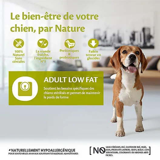 Wellness CORE - Croquettes Light à La Dinde Pour Chien - 10Kg 4 Wellness CORE - Croquettes Light à La Dinde Pour Chien - 10Kg – Image 2