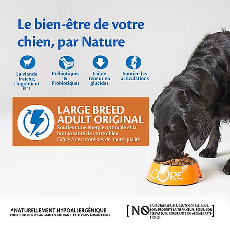 Wellness CORE - Croquettes Original Dinde Et Poulet Pour Chien Grande Race - 10Kg 4 Wellness CORE - Croquettes Original Dinde Et Poulet Pour Chien Grande Race - 10Kg – Image 2