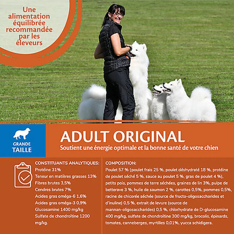 Wellness CORE - Croquettes Original Dinde Et Poulet Pour Chien Grande Race - 10Kg 5 Wellness CORE - Croquettes Original Dinde Et Poulet Pour Chien Grande Race - 10Kg – Image 3