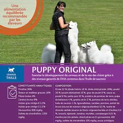 Wellness CORE - Croquettes Puppy Poulet & Dinde Pour Chiot Grande Race - 2,75Kg 10 Wellness CORE - Croquettes Puppy Poulet & Dinde Pour Chiot Grande Race - 2,75Kg -Nourriture pour chien Soldes 64124