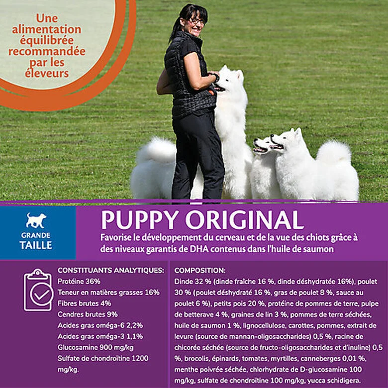 Wellness CORE - Croquettes Puppy Poulet & Dinde Pour Chiot Grande Race - 2,75Kg 5 Wellness CORE - Croquettes Puppy Poulet & Dinde Pour Chiot Grande Race - 2,75Kg – Image 3