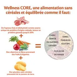 Wellness CORE - Croquettes à L'Agneau Pour Chien De Toutes Races - 10Kg 11 Wellness CORE - Croquettes à L'Agneau Pour Chien De Toutes Races - 10Kg -Nourriture pour chien Soldes 64202