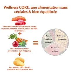 Wellness CORE - Croquettes Océan Saumon Et Thon Pour Chien De Petite Race - 5Kg 10 Wellness CORE - Croquettes Océan Saumon Et Thon Pour Chien De Petite Race - 5Kg -Nourriture pour chien Soldes 64222