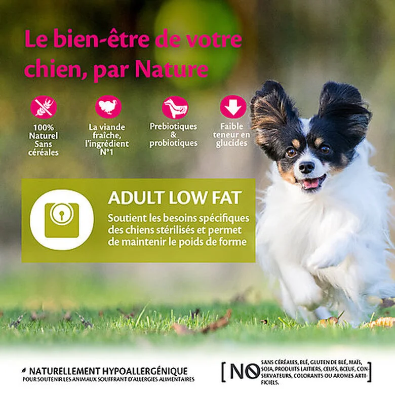 Wellness CORE - Croquettes Light Poulet Et Dinde Pour Chien De Petite Race - 5Kg 4 Wellness CORE - Croquettes Light Poulet Et Dinde Pour Chien De Petite Race - 5Kg – Image 2