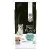 Pro Plan - Croquettes Puppy Optidigest Medium & Large à La Dinde Pour Chiot - 12Kg 2 Pro Plan - Croquettes Puppy Optidigest Medium & Large à La Dinde Pour Chiot - 12Kg -Nourriture pour chien Soldes 64505